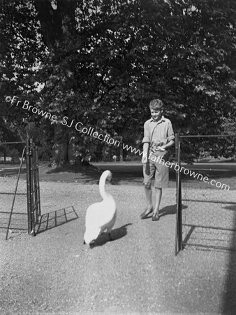 BOY WITH SWAN IN ST. STEPHEN'S GREEN